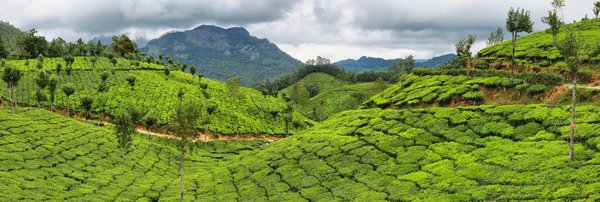 How Can You Create a Personal Tea Station in a Small Kitchen Nook?